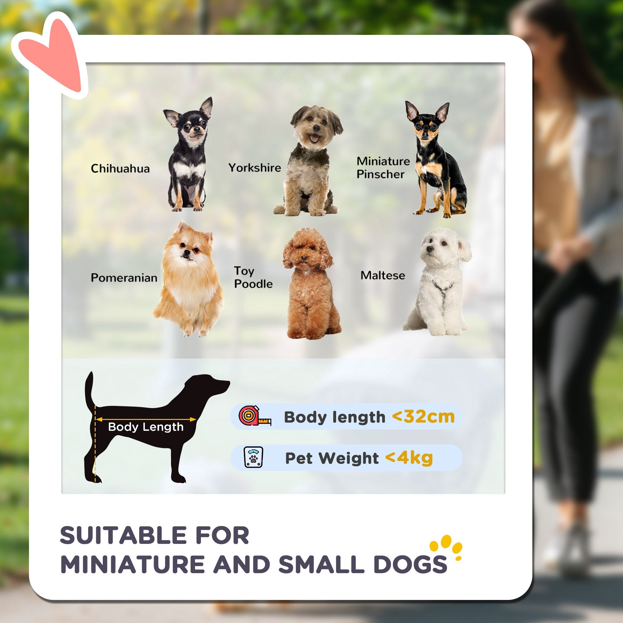 PawHut Dog Pram Dog Stroller Foldable Pet Pushchair With 4 Wheels, Safety Leashes, Cup Holder For Small Dogs, Grey Secondary image