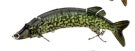 The classical multistage bionic lure Secondary image