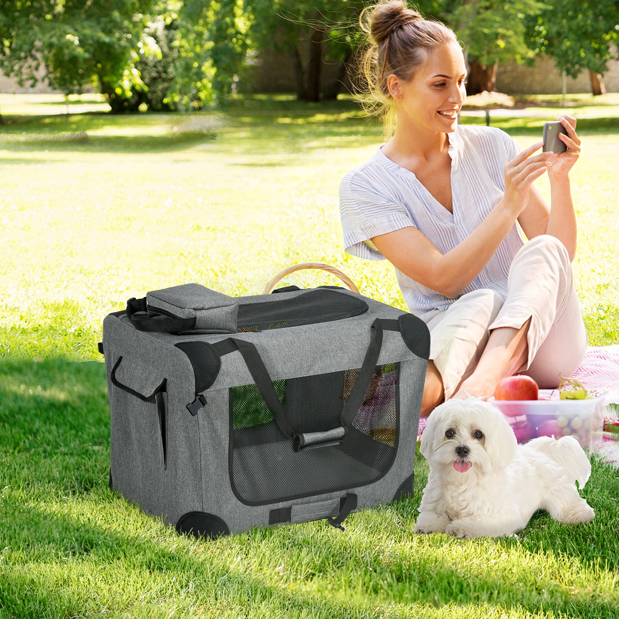 PawHut Oxford Fabric Folding Pet Carrier Bag Grey Secondary image