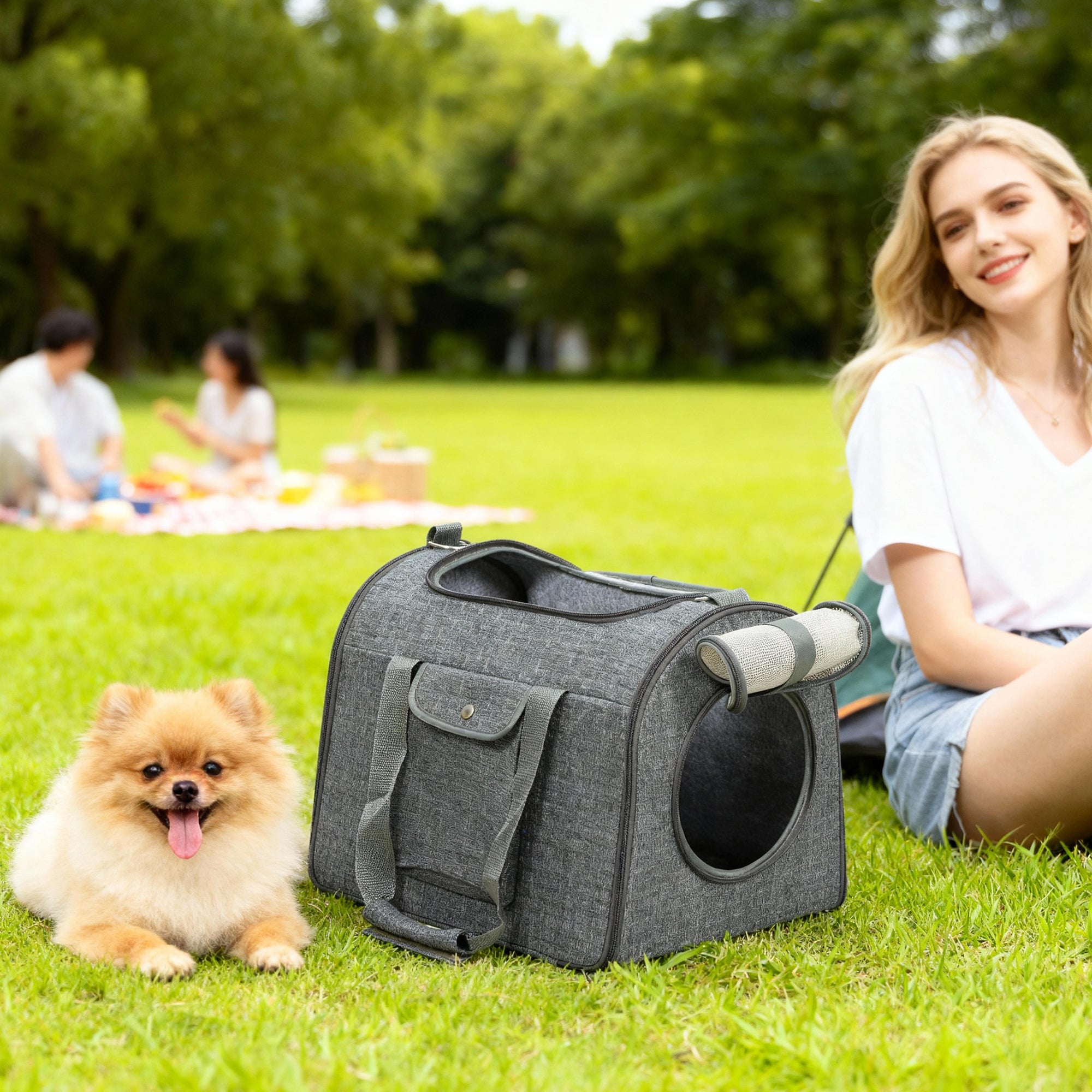 PawHut Soft Sided Cat Carrier Bag, Portable Foldable Pet Carrier With Shoulder Strap & Removable Mat For Small Pet Up To 10kg Secondary image